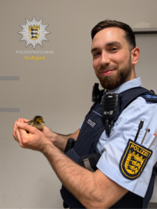 Polizeibeamter hält gerettetes Entenküken in Stuttgart-Feuerbach